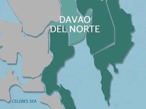Davao del Norte Provincial Board .